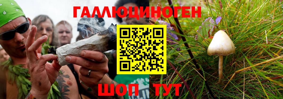 Псилоцибиновые грибы Psilocybe  Вход с VPN  Галлюциногенные грибы Psilocybine cubensis  Изобильный 