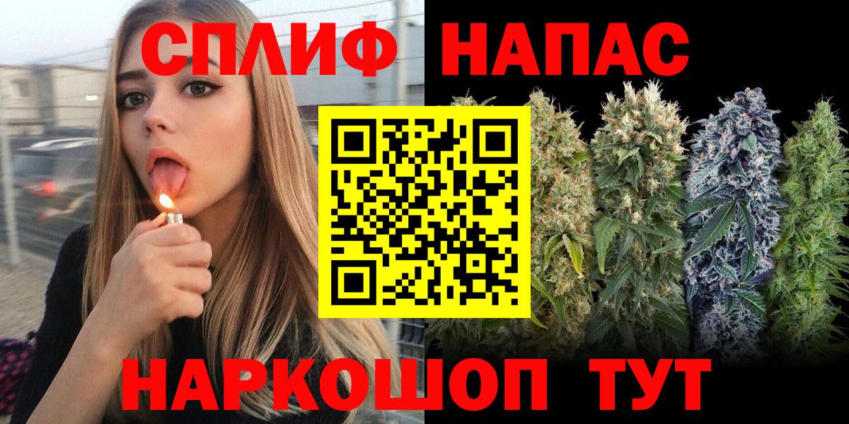 Каннабис SATIVA & INDICA Изобильный